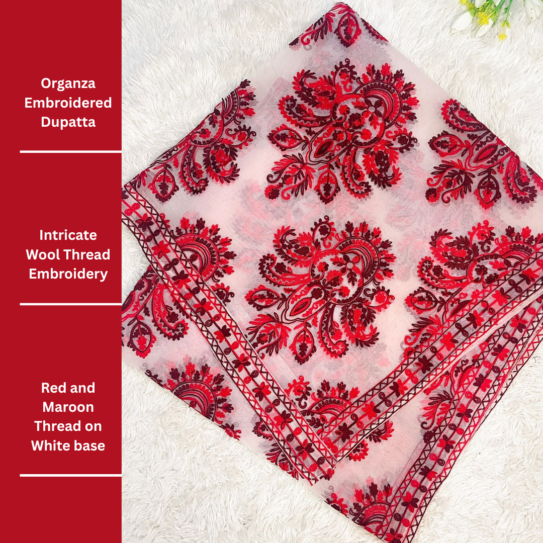 Front view of red organza dupatta with fine pasham thread embroidery on premium fabric.